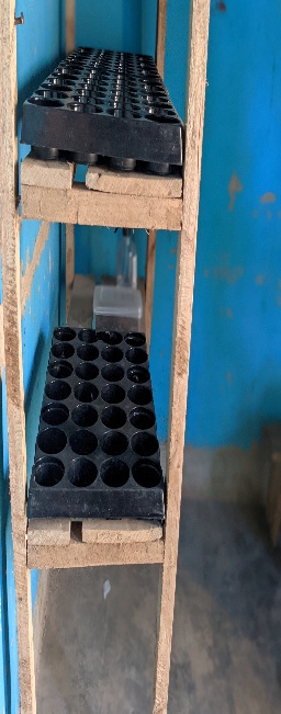 Germination tray close-up