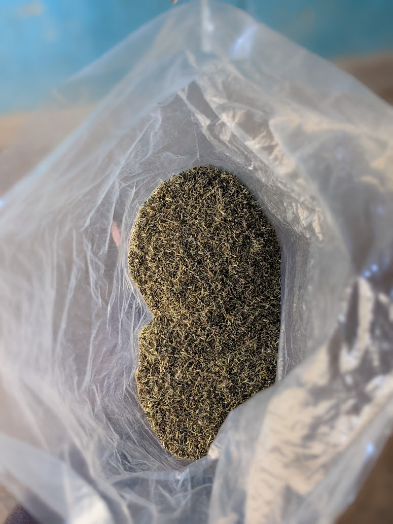 Seeds in stock